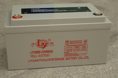 天津力源蓄电池LY12650力源风力发电蓄电池12V100ah